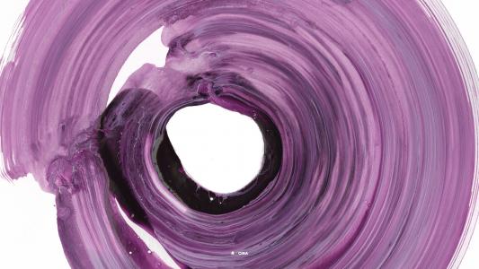 圈，丰富多彩，紫色的壁纸