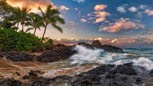 毛伊岛，夏威夷，安静，海洋，岩石，棕榈树，海滩壁纸