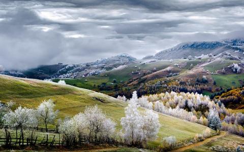 自然，景观，罗马尼亚，童话故事，秋天，道路，山，树木壁纸
