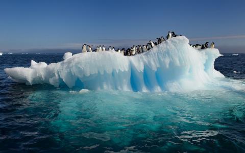 企鹅冰山壁纸