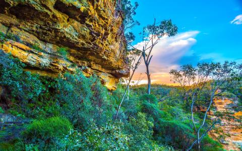 蓝山国家公园，澳大利亚，岩石，树木，天空，云彩，日落壁纸