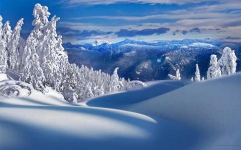 山，树，雪，冬天，自然风景壁纸
