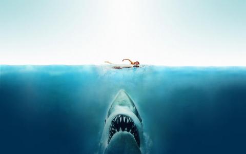 大白鲨，电影，鲨鱼，拆分视图，海壁纸