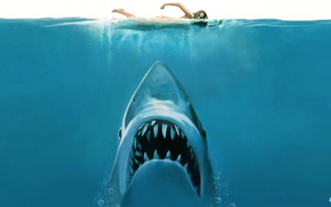 大白鲨电影概念壁纸