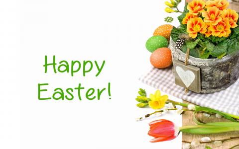 复活节快乐，假期，鸡蛋，鲜花，郁金香，植物区系壁纸