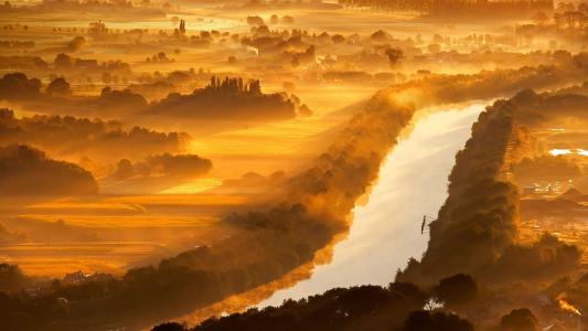 Yser谷，比利时，河流，树木，清晨，雾，太阳光线的壁纸