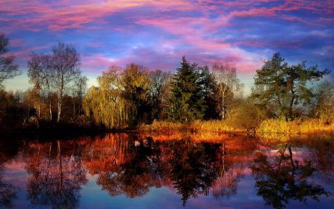 日落湖树景观反射图像壁纸