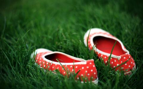 红色的鞋子在草地上的壁纸
