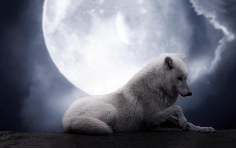 Wolf Moon壁纸