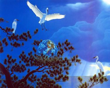 自由动物鸟飞天空高清壁纸