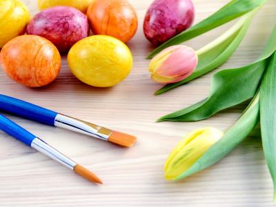 复活节，刷子，彩色蛋，郁金香花壁纸
