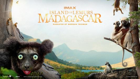 马达加斯加狐猴岛，摩根·弗里曼，大卫·道格拉斯壁纸