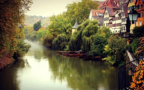 德国风景，秋天，雾，河，船，树木，房屋壁纸