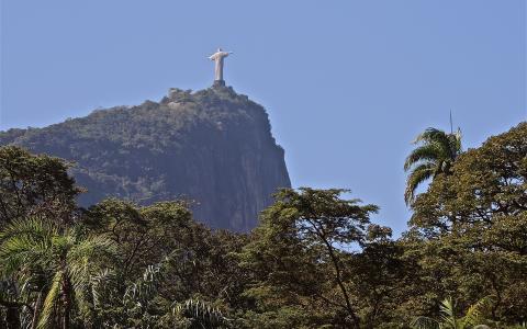 里约热内卢基督救世主雕像树高清壁纸