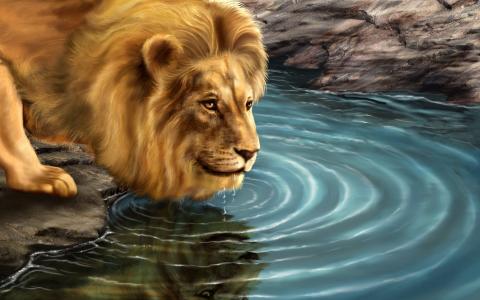 狮子饮用水壁纸