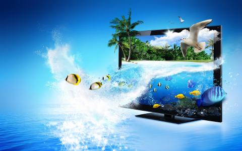 监测3D创意广告，海，热带鱼，棕榈树的壁纸