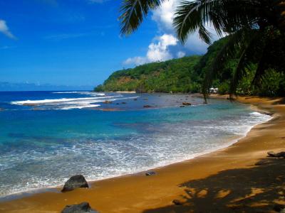 美丽的海滩，海，海水，沙滩，棕榈树，蓝色的天空，波浪，岩壁纸