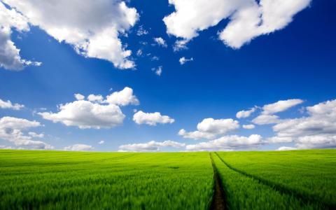 道路，绿色，草，天空，云，痕迹壁纸