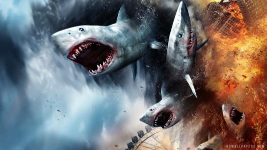 Sharknado 2 The Second One 2014壁纸
