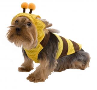 一只狗 - 蜜蜂？