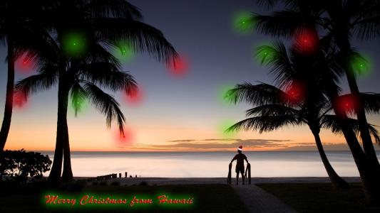 圣诞节在夏威夷圣诞节黑暗假期岛灯棕榈树圣诞老人高清壁纸