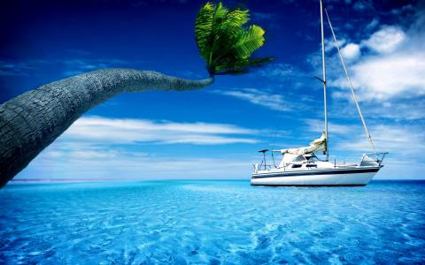 棕榈树蓝色船船海洋高清壁纸