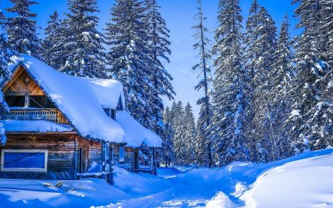 冬天，厚厚的雪，Khabarovsk Krai，俄罗斯，房子，森林，树壁纸