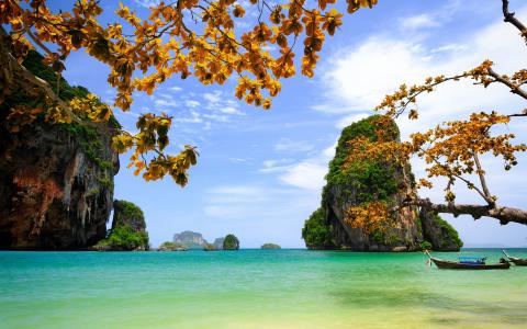 越南，美丽的风景，海，岩石，岛屿，树木，树叶，船壁纸