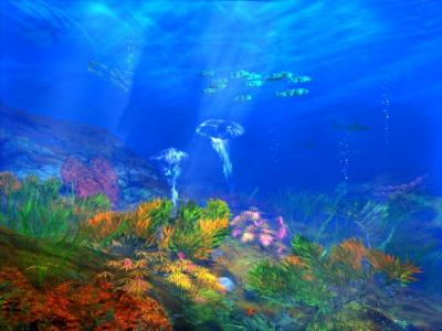 在海下抽象的珊瑚鱼海洋高清壁纸