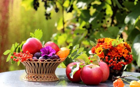 在桌子上，水果，苹果，李子，花，叶子，静物壁纸