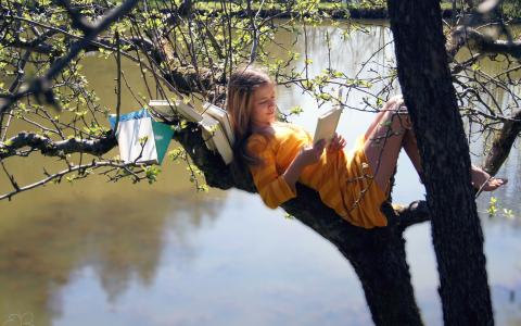 女孩在树上，读书壁纸