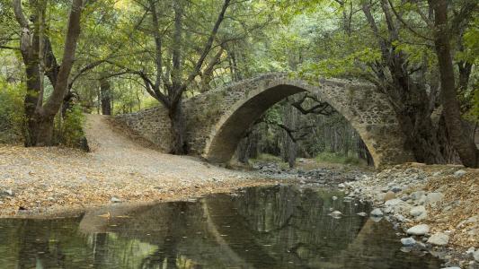 桥反射树森林水高清壁纸