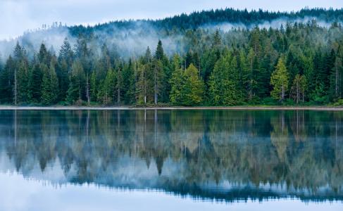 加拿大湖森林莫顿不列颠哥伦比亚省大自然壁纸