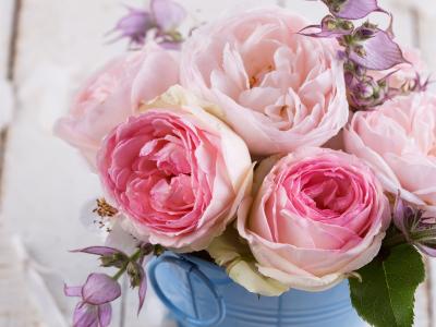 粉红玫瑰，鲜花，花束壁纸