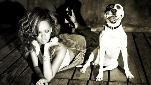 蕾哈娜，狗，歌手，黑色和白色壁纸