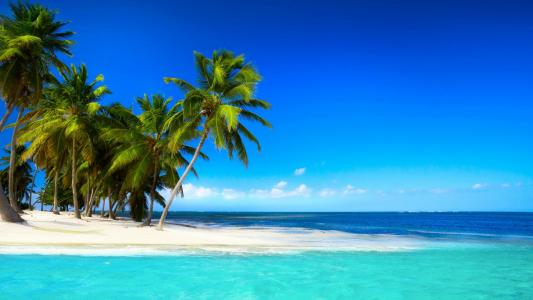 热带海滩与棕榈树美丽的天空蓝色的大海壁纸