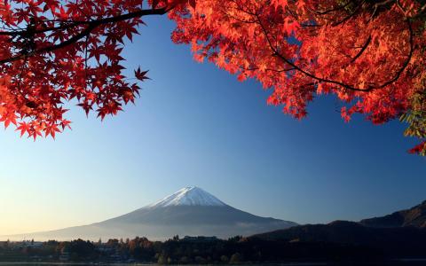 富士山秋枫日本壁纸