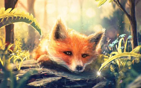 艺术画，狐狸在森林，水滴，花卉壁纸