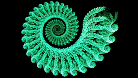 绿色的蜗牛形状壁纸