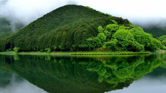 湖，景观，绿色，树，雾，大自然，摄影壁纸