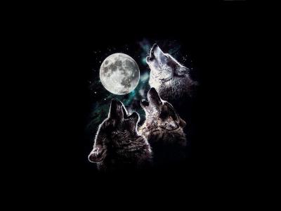 3狼月亮嚎叫月亮夜空星星三三狼高清壁纸
