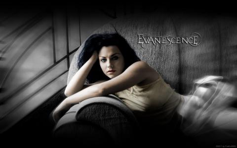 艾米李Evanescence歌手音乐家硬石女性女性黑发女孩性感辣妹哥特式画廊壁纸