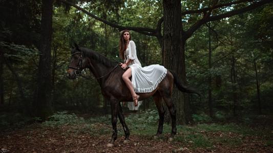 妇女，马，骑马，森林，白色礼服壁纸