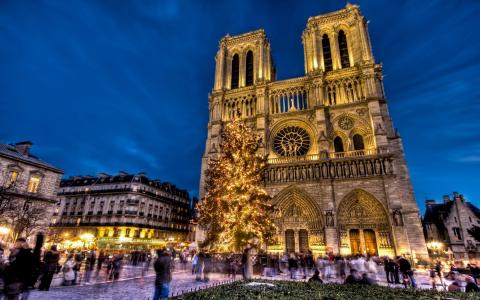 巴黎圣母院，巴黎圣母院，巴黎，法国，地区，新年，圣诞树，假日壁纸