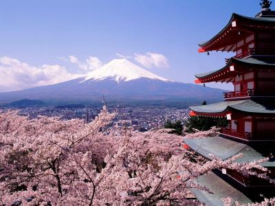 樱花，日本，富士山，城市，建筑壁纸