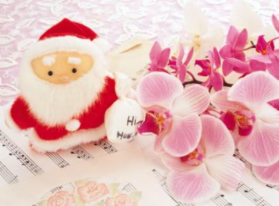 圣诞老人，兰花，音乐，鲜花，笔记壁纸