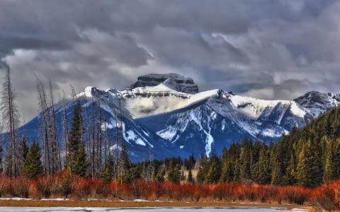 加拿大，艾伯塔省，山，树，云壁纸