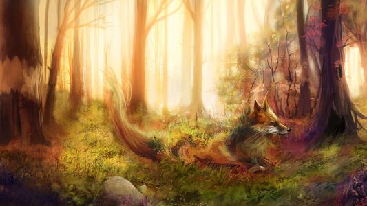 艺术画，狐狸，森林，树木，草，岩壁纸