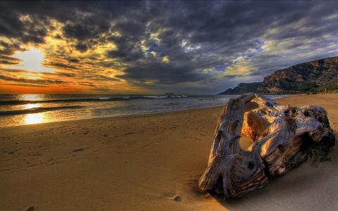 在海滩的漂流木头在日落Hdr墙纸
