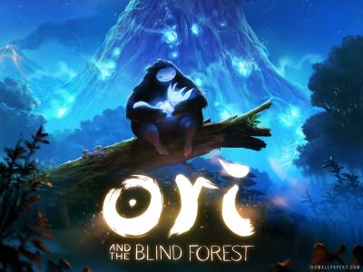 Ori和盲人森林2014年壁纸